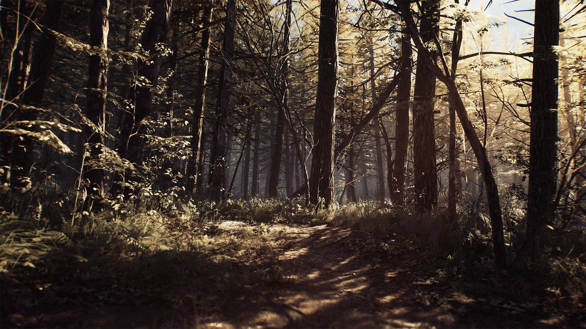 Blair Witch - Imagen 36